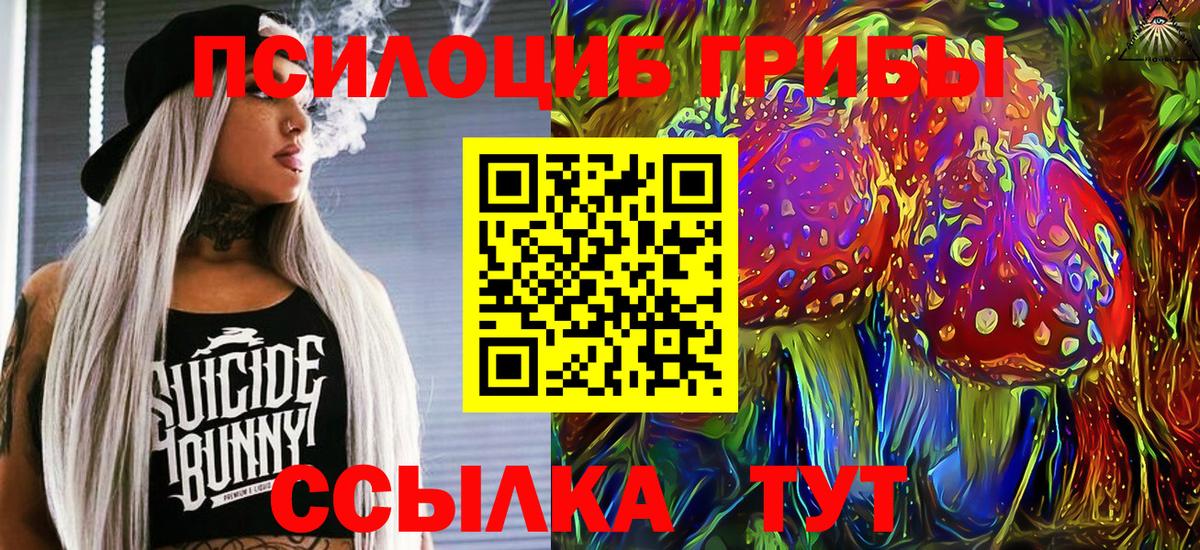 Псилоцибиновые грибы Psilocybine cubensis  Вход с VPN  Луга  Псилоцибиновые грибы GOLDEN TEACHER 