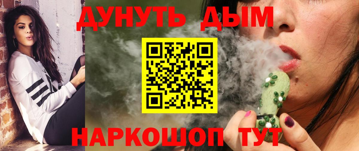МАРИХУАНА сатива Луга